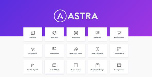 Astra Pro Addon 4.13.5 – WordPress Theme for Any Website