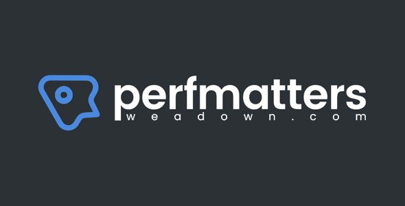 Perfmatters 2.6.3 – Lightweight WordPress Performance Plugin
